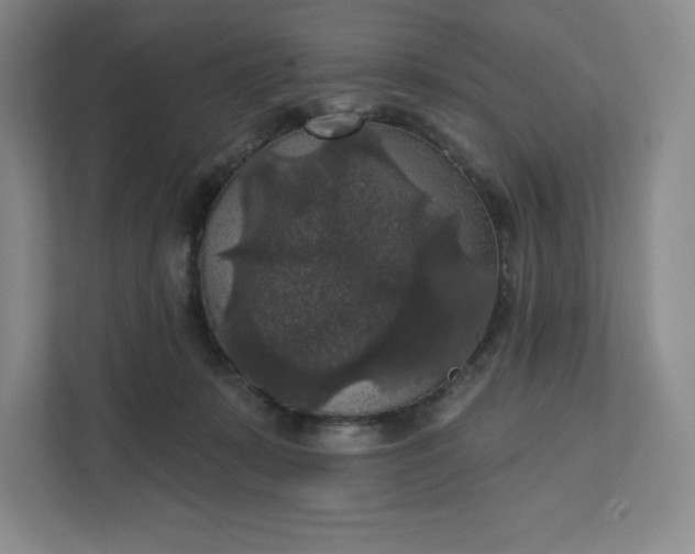 X0000111580319200907301410