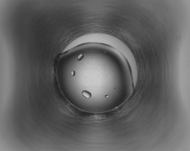 X0000111580320200907301410