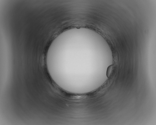 X0000111580323200907301410