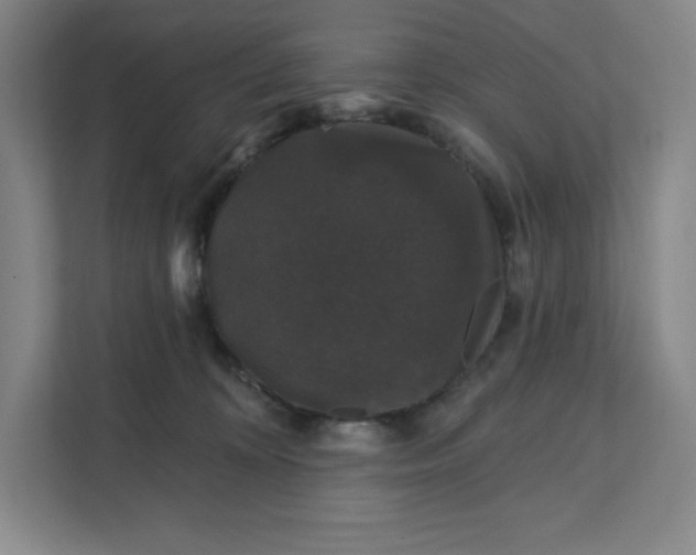 X0000111580324200907301410