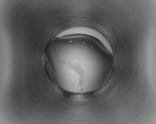 X0000111580325200907301410