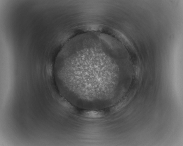 X0000111580326200907301410