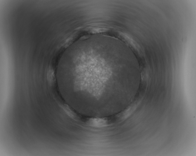 X0000111580327200907301410