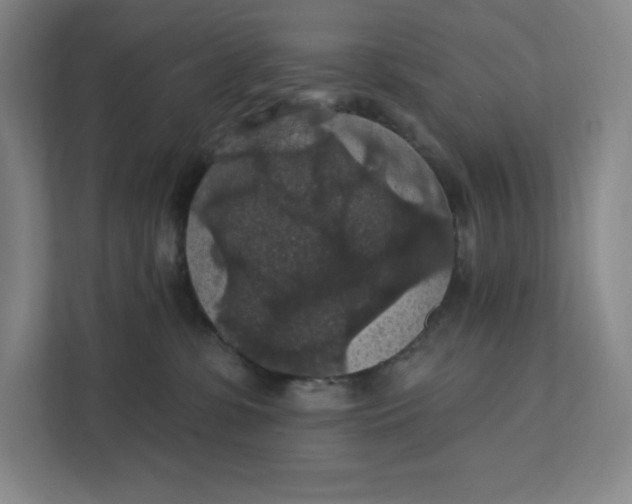 X0000111580331200907301410