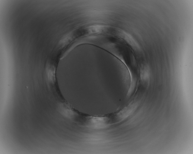 X0000111580332200907301410