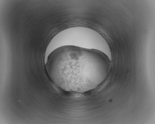 X0000111580333200907301410