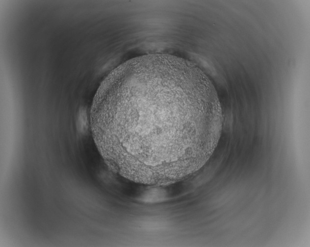 X0000111580335200907301410