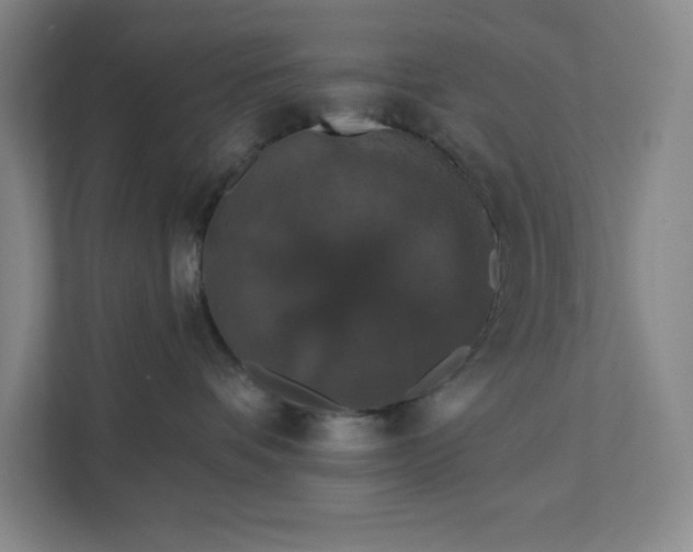 X0000111580336200907301410