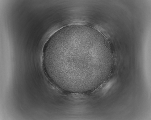 X0000111580338200907301410