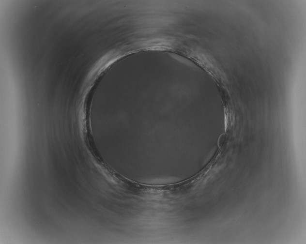 X0000111580339200907301410