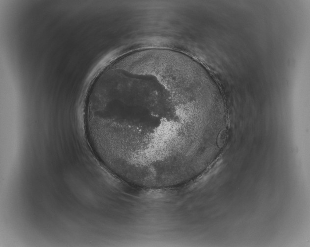 X0000111580341200907301410