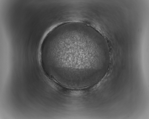 X0000111580342200907301410