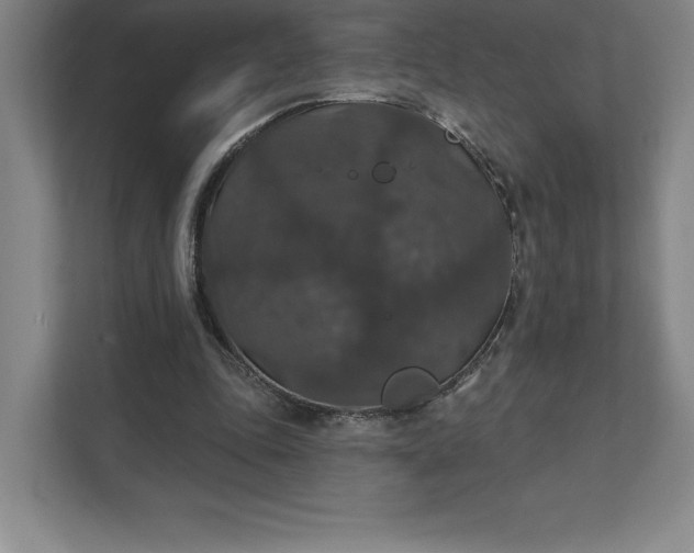 X0000111580343200907301410