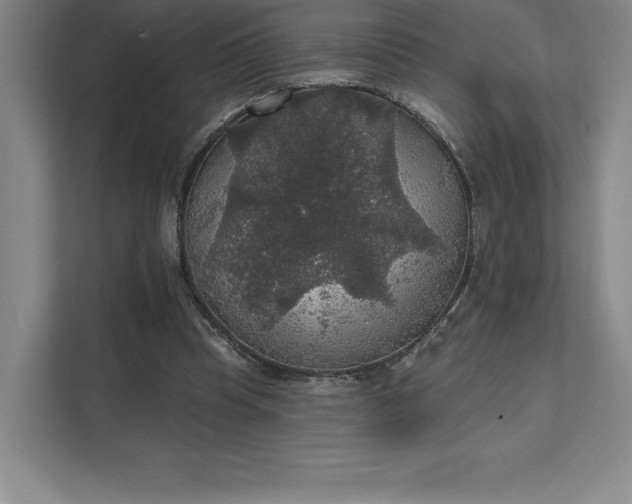 X0000111580345200907301410