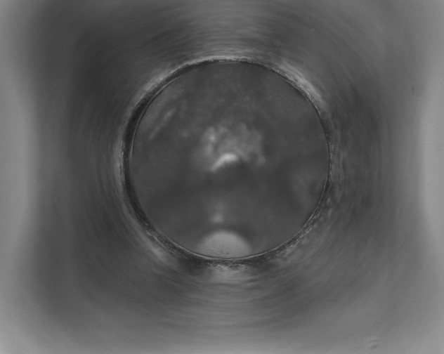 X0000111580346200907301410