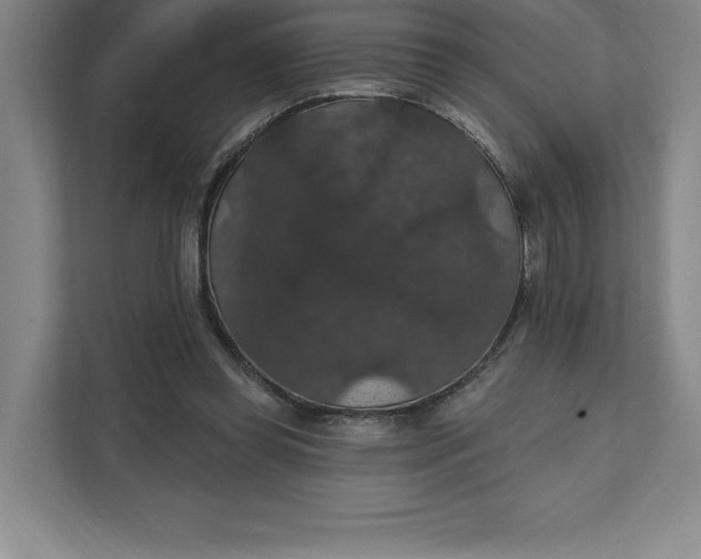 X0000111580349200907301410