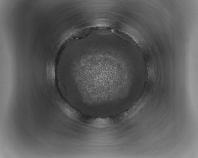 X0000111580350200907301410