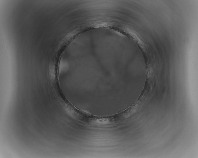 X0000111580353200907301410