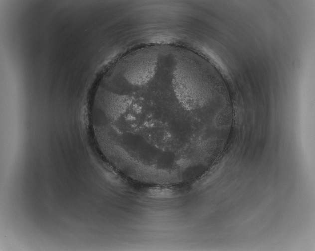 X0000111580354200907301410