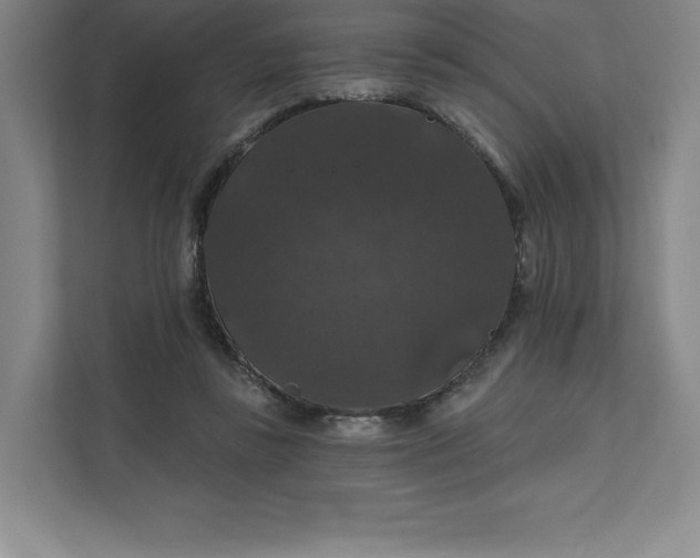 X0000111580355200907301410