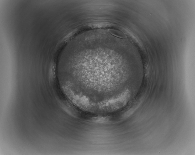 X0000111580356200907301410