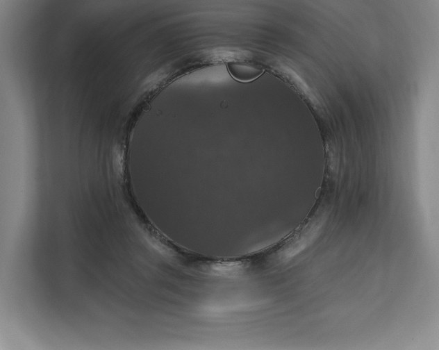 X0000111580357200907301410