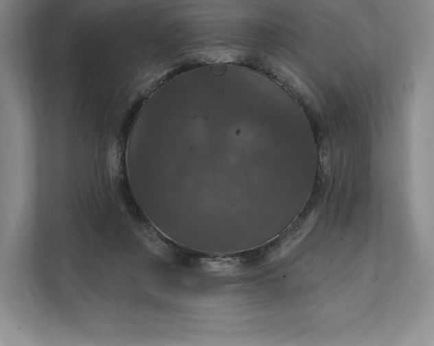 X0000111580359200907301410