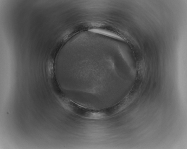 X0000111580360200907301410