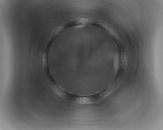 X0000111580361200907301410