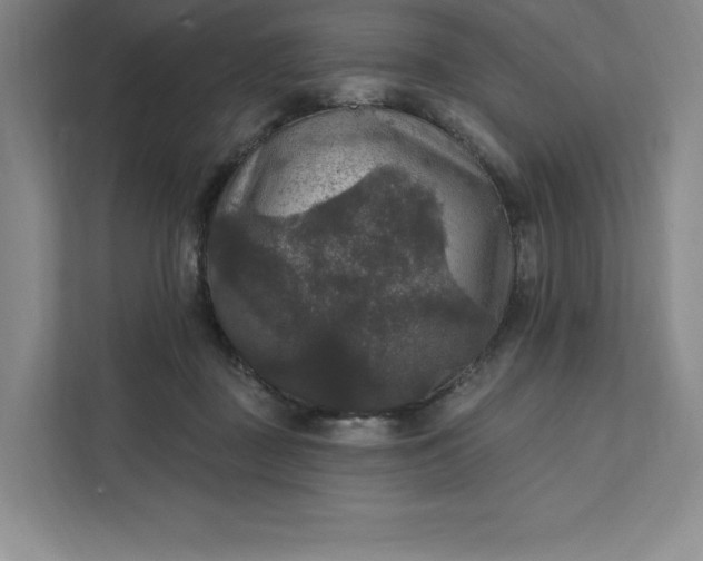 X0000111580363200907301410