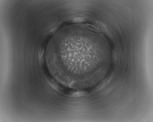 X0000111580364200907301410