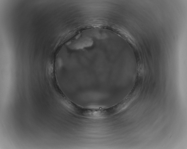 X0000111580365200907301410