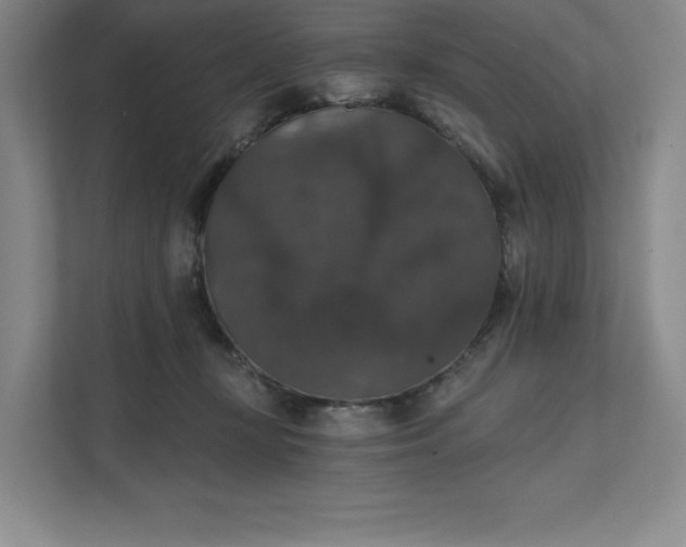 X0000111580367200907301410