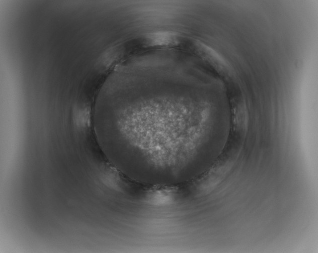 X0000111580368200907301410