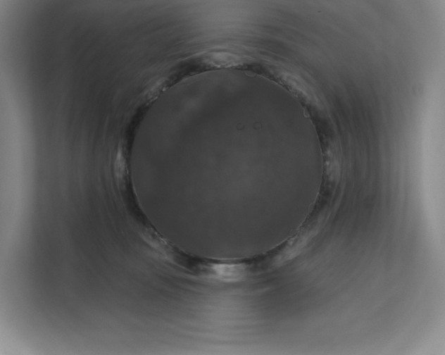 X0000111580371200907301410