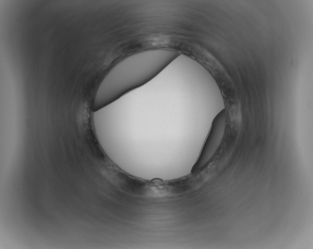 X0000111580372200907301410