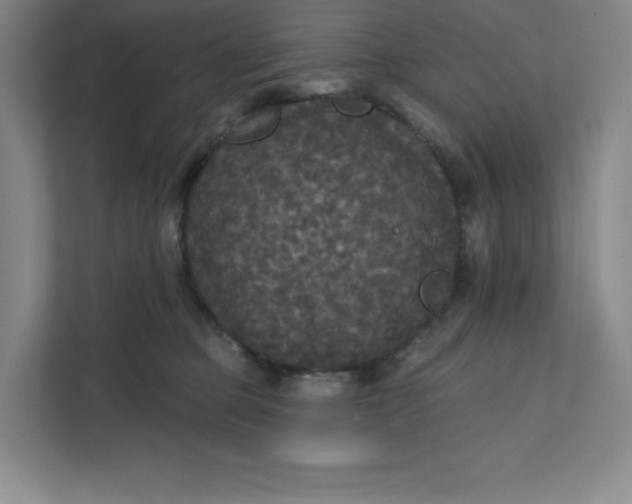 X0000111580373200907301410