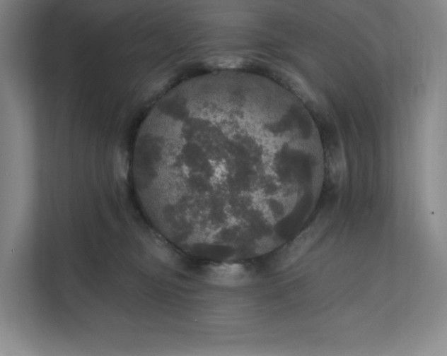 X0000111580374200907301410