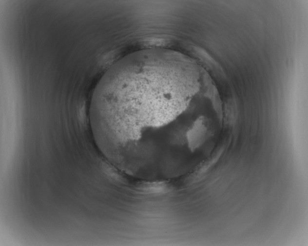 X0000111580377200907301410