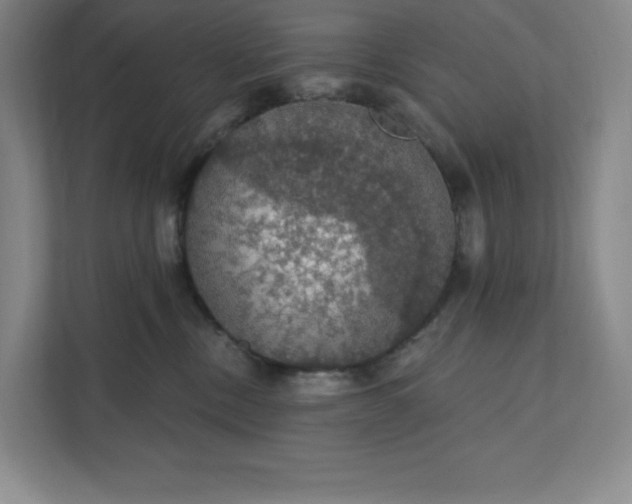 X0000111580378200907301410