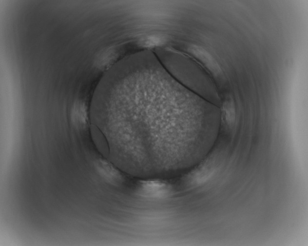 X0000111580380200907301410