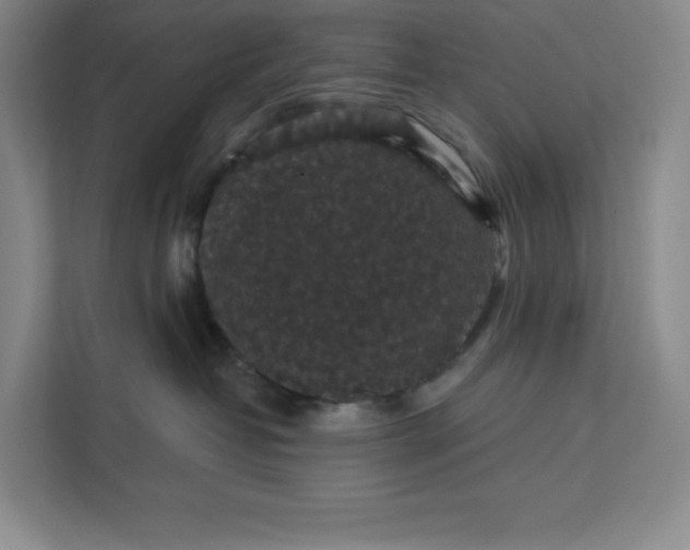 X0000111580382200907301410