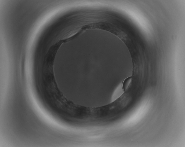 X0000111580383200907301410