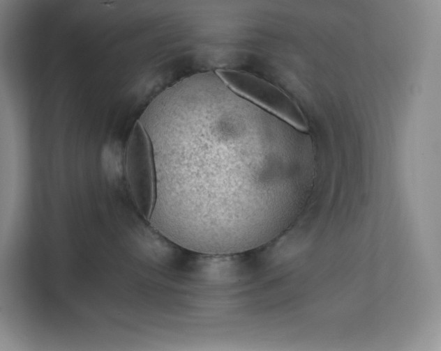 X0000111580384200907301410