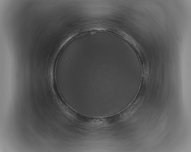 X0000111580386200907301410