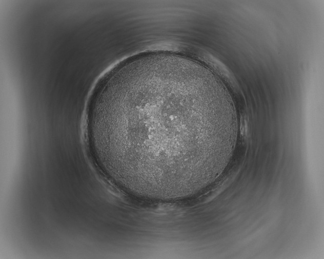 X0000111580388200907301410