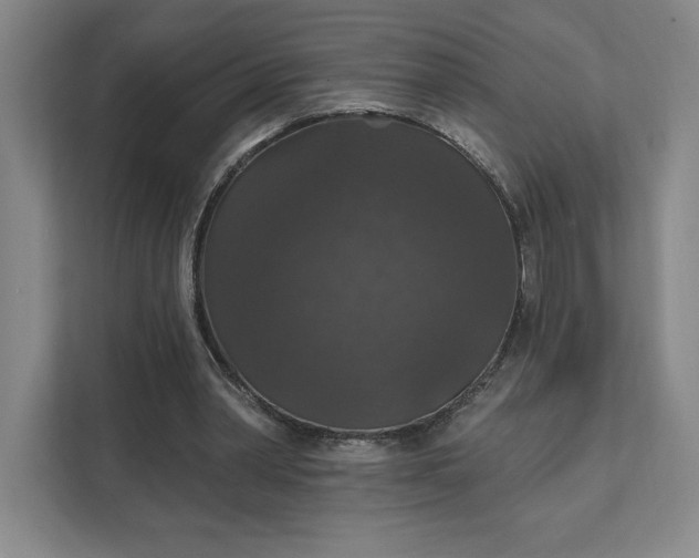 X0000111580390200907301410