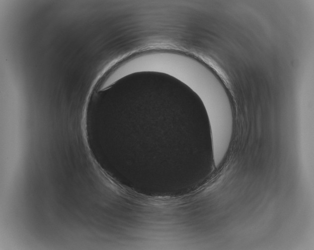 X0000111580391200907301410