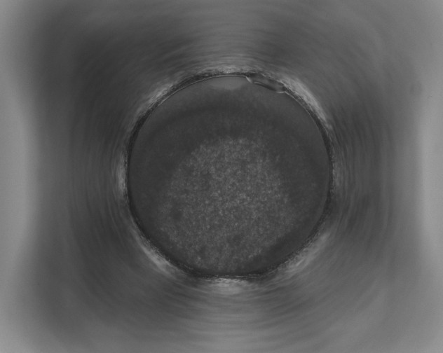 X0000111580393200907301410