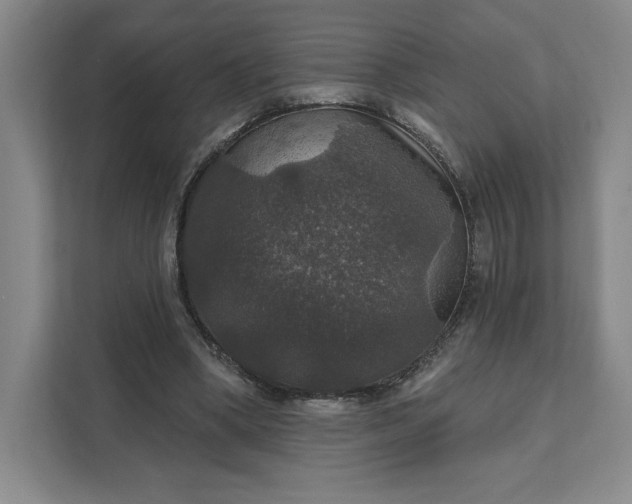 X0000111580394200907301410